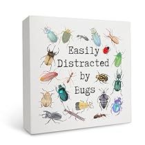 Classroom Garden, Garden Cottagecore, Insect Decor, Cottagecore Room, Home Office/guest Room, Cottagecore Room Decor, Insects Theme, Office Guest Room, Easily Distracted