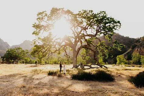 Malibu Creek State Park, Engagement Shots, Best Location, Engagement Shoot, Engagement Photographer, Engagement Shoots, State Park, Classic Art, Engagement Session