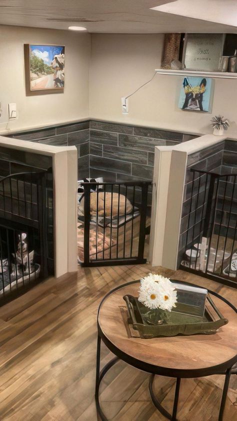 Dog Hotel Design, Dog Kennel Inside, Indoor Dog Room, Indoor Dog Pen, Dog Run Side Yard, Dog Room Design, Outdoor Dog Area, Whelping Puppies, Hotel Pet