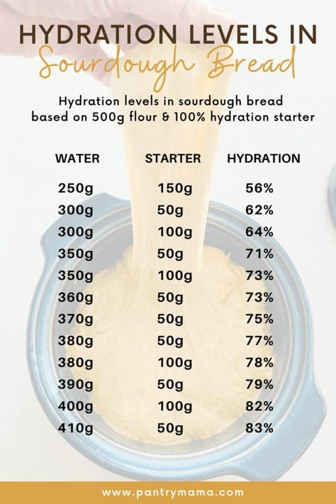 Sourdough Hydration for Beginners: Easy Explanation - The Pantry Mama Sourdough Hydration, Proof Bread, Pantry Mama, Bread For Beginners, Micro Bakery, Using Sourdough Starter, Everything Sourdough, Recipe Using Sourdough Starter, Sourdough Bread Starter