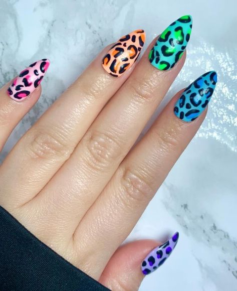 Rainbow Leopard Nails, Aqua Cheetah Nails, Rainbow Cheetah Print Nails, Turquoise Cheetah Nails, Funky Leopard Print Nails, Tiger Nails, Rainbow Nails, Animal Prints, Art Ideas