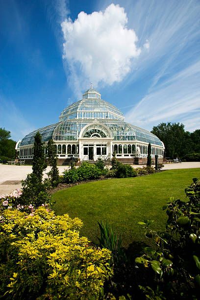 Palm House at Sefton Park Sefton Park Palm House, Sefton Park Palm House Wedding, Palm House Wedding, Sefton Park, Palm House, Park Photography, Park Homes, Grand Tour, Free Stock Photos Image