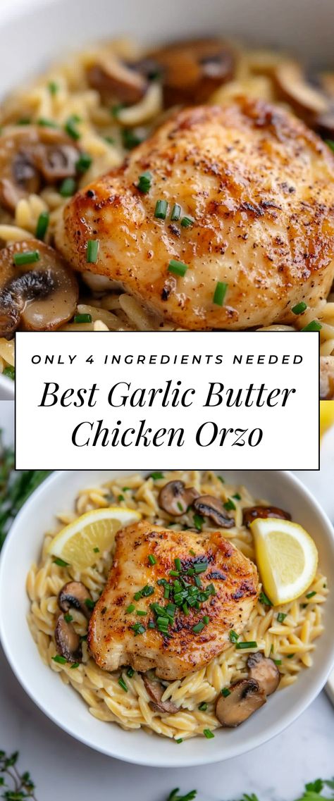 Image for Best Garlic Butter Chicken Orzo Butter Orzo Recipes, Chicken And Orzo Recipes Healthy, Garlic Chicken Orzo, Baked Chicken Orzo Recipes, Chicken With Orzo Recipes, Chicken Meatballs And Orzo, Chicken And Orzo Recipes, Orzo Chicken Recipes, Creamy Chicken And Orzo