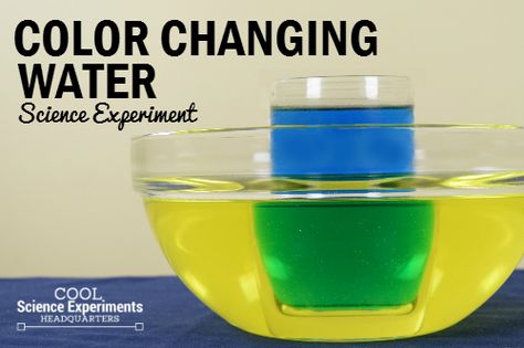 Mixing two colors together to create a different color has a certain wow factor… Science Week Activities, Chameleon Party, Food Science Experiments, Potion Ideas, Water Science Experiments, Science Communication, Water Experiments, Science For Toddlers, Science Week