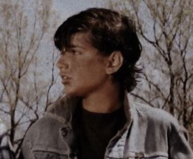 The Outsiders Johnny, The Outsiders Ponyboy, The Outsiders Greasers, Ralph Macchio, Matching Pfp, Face Claims, Matching Icons, The Original, The Outsiders