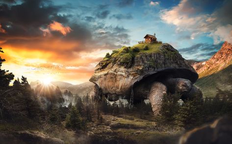 The Turtle | Matte Painting on Behance Matte Painting Ideas, Matte Painting Photoshop, Photoshop Painting Tutorial, Paint Software, Cool Photoshop, Photoshop Painting, Matte Painting, Photoshop Photography, Photo Retouching