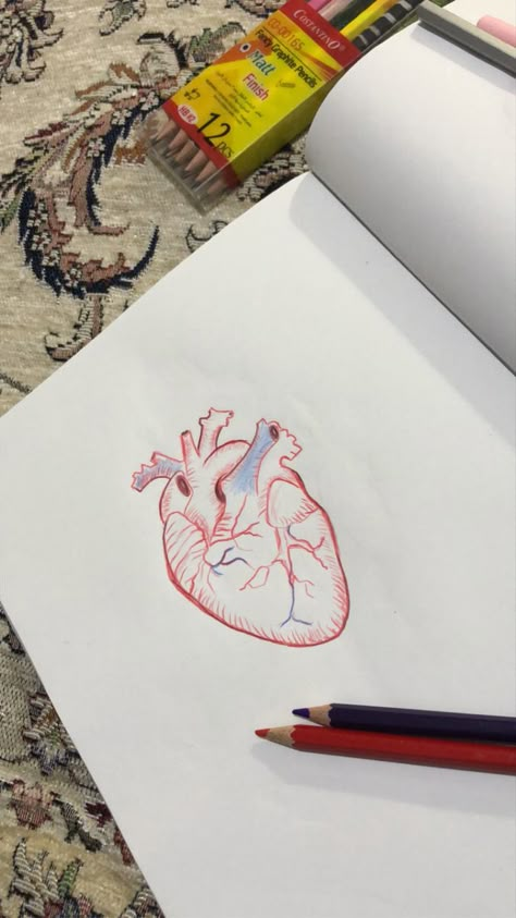 Mbbs Life, Buddha Background, Biology Diagrams, Snaps Aesthetic, Heart Diagram, Body Preschool, Leo Zodiac Quotes, Best Friend Dates, Handwriting Examples