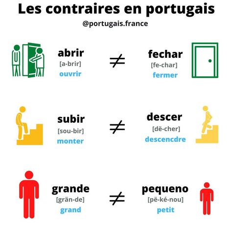 🎁 Récupérez GRATUITEMENT votre MINI GUIDE PORTUGAIS 🇵🇹 en écrivant GUIDE en commentaire. Je vous envoie le lien en message privé ! ✅ Pour rejoindre notre communauté grandissante c'est simple: 👍 Likez ce post 🎯 Abonnez-vous 💬 Envoyez-moi vos questions Até breve ! 👋 Susana @portugais.france #portugaisfrance #apprendreportugais #apprendreleportugais #loveportugal #loveportuguese #parlerportugais #Portugal #portugaisenligne #coursdeportugais #portugaisapprendre #linguaportuguesa #voyag... Portuguese Basics, Portuguese Language Learning Brazil, Learn To Speak Portuguese, Portuguese Language Learning, Common Portuguese Phrases, Language Learning, May 11, Portugal, On Instagram