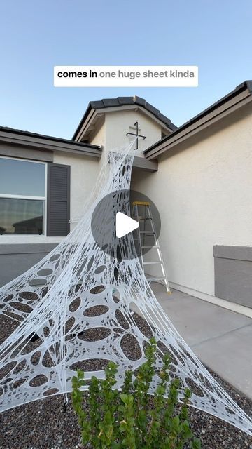 Morgan Renfro on Instagram: "I covered my entire house with spider webs for Halloween. 
comment “webs” and I’ll send you a link to what I used!

This stuff looks super realistic like a giant spider was here…. Oh wait we do have one. It’s not sticky, and doesn’t get caught or tangled up on everything while you’re trying to hang it up. This is what they use to decorate haunted houses with spider webs! It’s a lot more durable. 

#halloweendecor #spiderdecor #spiderwebs #hauntedhousedecor #diy #beefnettingforwebs #beefnettingwebs #beefnettingspiderwebs beef netting spider webs haunted house" Beef Netting Spider Web, Giant House Spider, Diy Spider Web, Spider Web Diy, House Spider, Spider Decorations, Giant Spider, Spider Webs, Halloween Spider Web