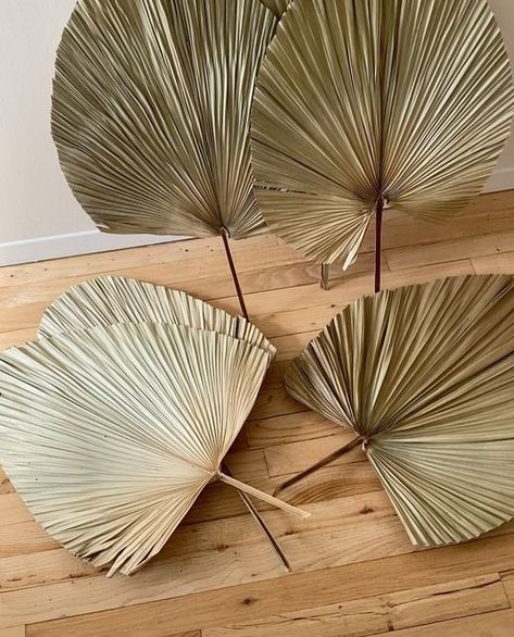 Palm Leaf Decor, Dried Palm Leaves, Aesthetic Room Ideas, Desi Wedding, Paper Stars, Leaf Decor, Tropical Palm, Boho Living, Boho Living Room