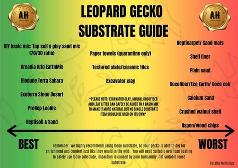 Visual Guide to Substrates : leopardgeckos Diy Humid Hide Leopard Geckos, Leopard Gecko Diet, Leopard Gecko Facts, Leopard Gecko Weight Chart, Leopard Gecko Substrate, Leopard Gecko Morphs, Leopard Gecko Care, Eco Earth, Diy Reptile