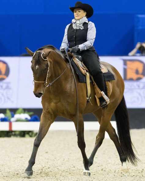 Horse Riding Outfit Women, Western Dressage, Dressage Tests, Competition Board, Ranch Riding, Horse Breeder, Dressage Training, Horse Riding Outfit, Horse And Rider