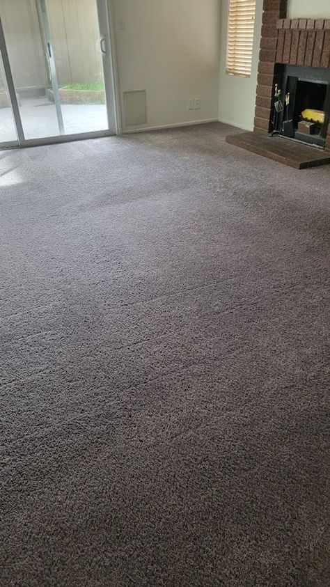 Need a deep clean for your carpets? Call JP Carpet Cleaning Expert Floor Care in Sherman Oaks, CA at (818) 263-9314. Visit our website for more info: https://www.jpcarpetandfloorcare.com/. Sherman Oaks, Floor Care, How To Clean Carpet, Deep Cleaning, Carpet, Flooring, Instagram