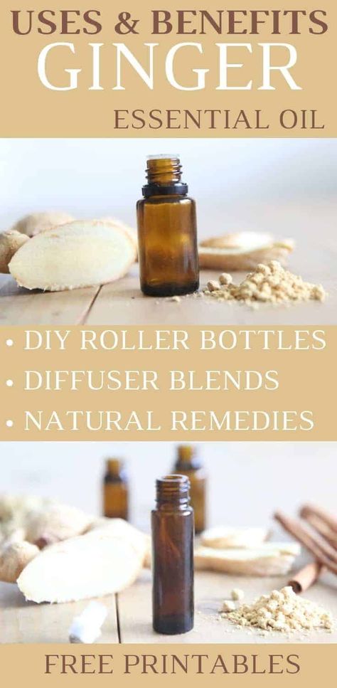 Ginger Essential Oil Highlight | Uses, Benefits, and Recipes Essential Oils For Nausea, Fennel Essential Oil, Benefits Of Ginger, Roller Bottle Recipes, Ginger Benefits, Ginger Essential Oil, Ginger Oil, Essential Oil Roller Bottle, Citrus Essential Oil