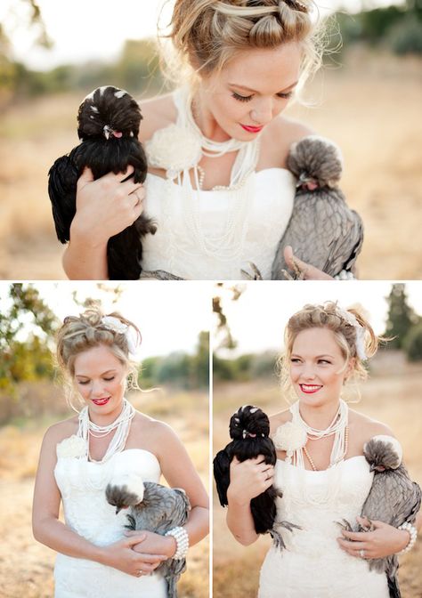 who knew that chickens could make a great accessory to a bridal shoot?? This breed is called Polish tophead and dates from 17th century #czubatka Chicken Wedding, Polish Chicken, Crazy Chicken Lady, Hobby Farm, Chicken Lady, Bridal Shoot, I Got Married, Wedding Humor, Wedding Portrait