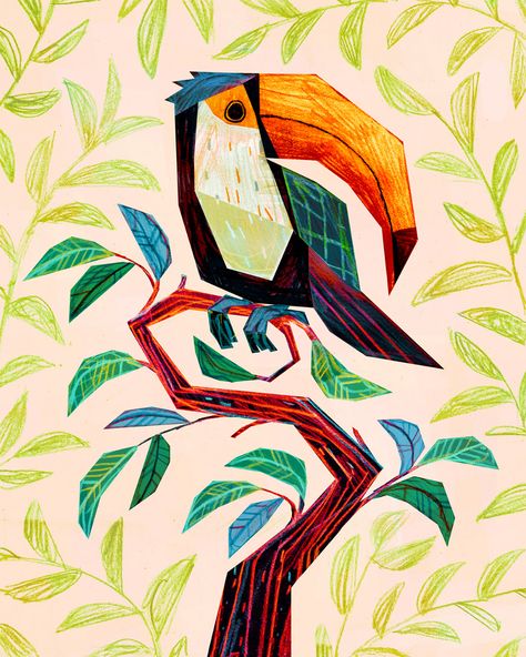 Animal Drawings 2021 on Behance Toucan Illustration, Jungle Drawing, Toucan Art, Storybook Art, Oil Pastel Art, Flower Sketches, Bird Illustration, Illustration Artists, Painting Illustration