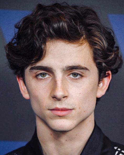 Messy Style, Medium Length Wavy Hair, Timmy T, Fake Smile, Long Curly Hair, Timothee Chalamet, Celebrity Hairstyles, Male Face, Hairstyles Haircuts