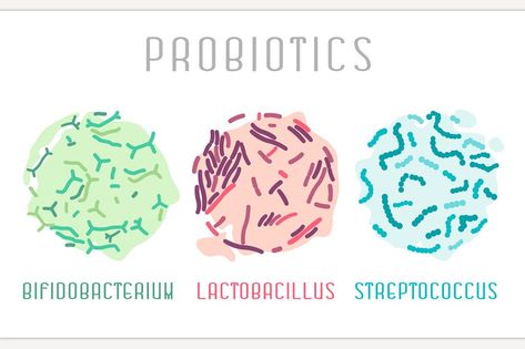 July Awareness Month, Bacteria Types, Point Of Care Testing, Microscopic Cells, Streptococcus Pneumoniae, Gram Negative Bacteria, Human Digestive System, Healthy Probiotics, Lactobacillus Acidophilus