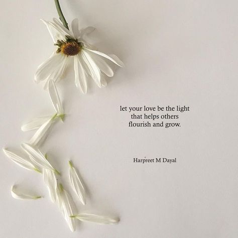 Like Flowers Quotes, Plain Book Page Aesthetic, Friends Are Like Flowers, Quotes Flower, Flowers Quotes, Poems Beautiful, Wonder Quotes, Quotes Deep Meaningful, Feeling Used Quotes