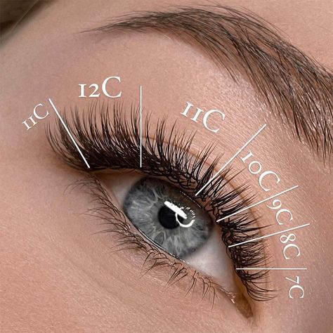 Eyelash extensions can have various curls, lengths, and be of different eyelash thickness so a customized look can be made. Find out all about available styles and choose your fav. #eyelashextensions #eyelashthickness #eyelashcurl #eyelashextensionthickness #eyelashextensioncurl #lashextensionscurl #lashextensionthickness #lashextensionslenght #eyelashextensionslenght #lashextensions #lashmap #lashmapping #pmuhub Natural Eyelash Mapping, 1d Lashes, Half Set Eyelash Extensions, Types Of Eyelash Extensions, Natural Fake Eyelashes, Lash Extentions, Lashes Fake Eyelashes, Eyelash Tips, Eyelash Technician