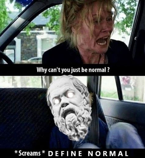 hen normies start to scream 😂 . . . . #socrates #philosophy #epistemology #philosopher #readandwrite #doxa #wordsofwisdome #dankmemes Socrates Philosophy, Psychology Memes, Philosophy Memes, Meme Show, Intp Personality, Literature Humor, Social Well Being, Intp, Personality Types