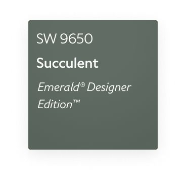 Succulent Sherwin Williams, Succulent Paint Color, Succulent Painting, Neutral Paint Color, Neutral Paint Colors, Sherwin Williams Paint Colors, Neutral Paint, Paint Projects, Christian Siriano