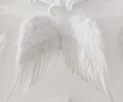 Angel Moodboard, Wings Aesthetic, Amino Themes, Devil Aesthetic, White Angel Wings, Soft Pink Theme, Angel Outfit, Angel Aesthetic, White Angel