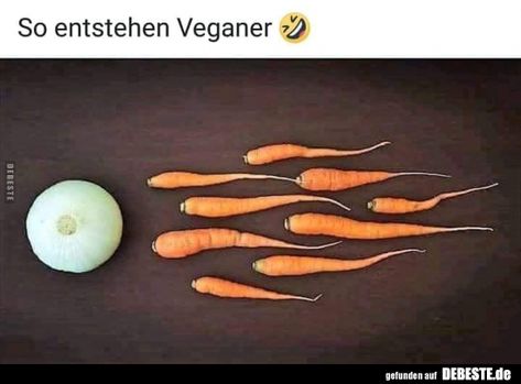 Besten Bilder, Videos und Sprüche und es kommen täglich neue lustige Facebook Bilder auf DEBESTE.DE. Hier werden täglich Witze und Sprüche gepostet! Vegan Memes, Pooper Scooper, Vegan Humor, New Years Eve Party, Funny Animal Pictures, Funny Art, Man Humor, Satire, Popular Memes