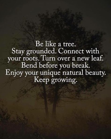 Be like a tree. life quotes quotes quote life motivational quotes quotes and sayings life goals quotes to live by Quotes Dream, Angel Cards, Robert Kiyosaki, Intj, Tony Robbins, New Leaf, Infj, Good Advice, Beautiful Quotes