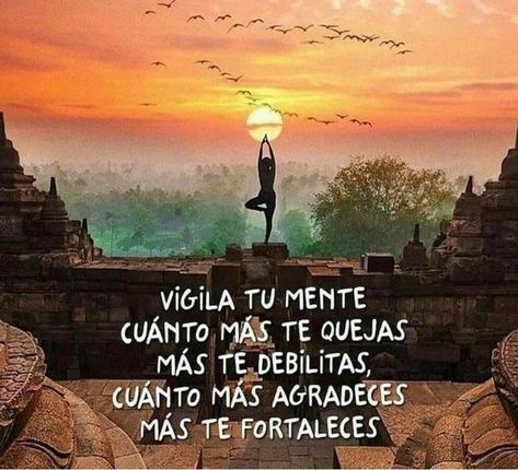 Top Disney Movies, Yoga Frases, Yoga Mantras, Smart Quotes, Spiritual Messages, Yoga Quotes, Motivational Phrases, Get Well Cards, More Than Words