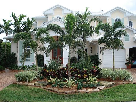 South Florida Landscaping Ideas Entryway, Florida Succulent Landscaping, Key West Landscape Ideas, Tropical Garden Design Landscaping Front Yards, Small Front Yard Landscaping Florida, Florida Coastal Landscaping Ideas, Fl Landscaping Front Yards, Simple Florida Landscaping Front Yard, South Florida Landscape Ideas Front Yard