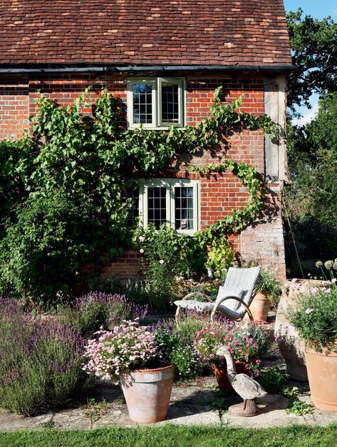 A 16th-century farmhouse in Surrey packed with charm | House & Garden Home And Garden Uk, House And Garden Uk, Exterior Windows, Louise Jones, Garden Uk, Century Farmhouse, House And Garden, English Cottage Style, Portuguese Tiles