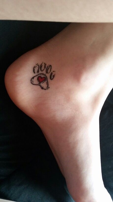 Pawprint tattoo with heart, on inside of foot/ankle area. Heel Tattoos, Tatoo Dog, Small Foot Tattoos, Tattoo Foot, Pawprint Tattoo, Dog Paw Tattoo, Foot Tattoos For Women, Paw Tattoo, Memorial Tattoos