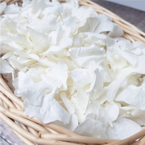 PRICES MAY VARY. 💮[Real Hydrangea Petals] - These delicate dried petals are made from natural hydrangeas and are picked one by one by hand. Unlike artificial flower petals, hydrangea flower petals are full in shape and have good texture, each petal carries the delicate essence of nature, adding infinite nobility and elegance to any environment. 💮[Perfect Size] - Our petals are made from the largest hydrangea species and measure approximately 0.8-1 inch, each one is unique. Each pack contains a Night Proposal, Proposal Decor, Flower Petals Wedding, Hydrangea Petals, Flower Girl Petals, Aisle Runner Wedding, Flower Confetti, Petal Confetti, Party Confetti