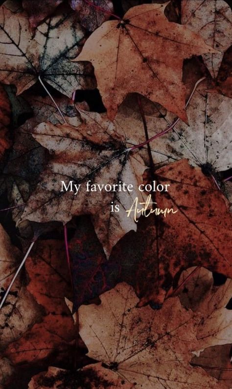 November Wreath, October Quotes, Ideas For House, Autumn Girl, Fall Mood Board, Autumn Magic, Fall Background, House Landscaping, Autumn Quotes