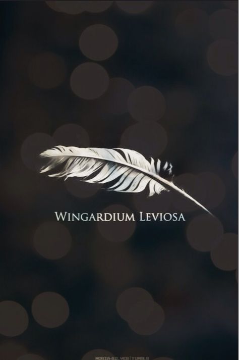 Wingardium Leviosa Light Can Be Found Harry Potter Tattoo, Lumos And Nox Tattoos, Harry Potter Tattoos Lumos, Wingardium Leviosa Tattoo, Cassette Tattoo, Harry Potter Phrases Tattoo, Wingardium Leviosa, Potter Wallpaper, Lightning Strike