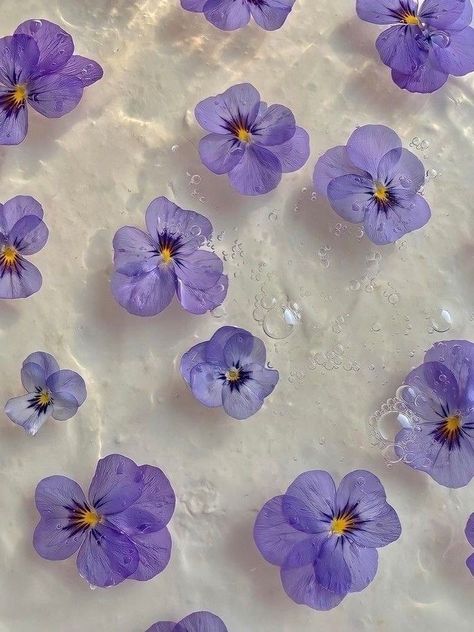 Purple Flowers Wallpaper, Flowery Wallpaper, Flower Background Wallpaper, Pretty Wallpaper Iphone, Aesthetic Pastel Wallpaper, Iphone Background Wallpaper, Summer Wallpaper, Pastel Wallpaper, Purple Wallpaper