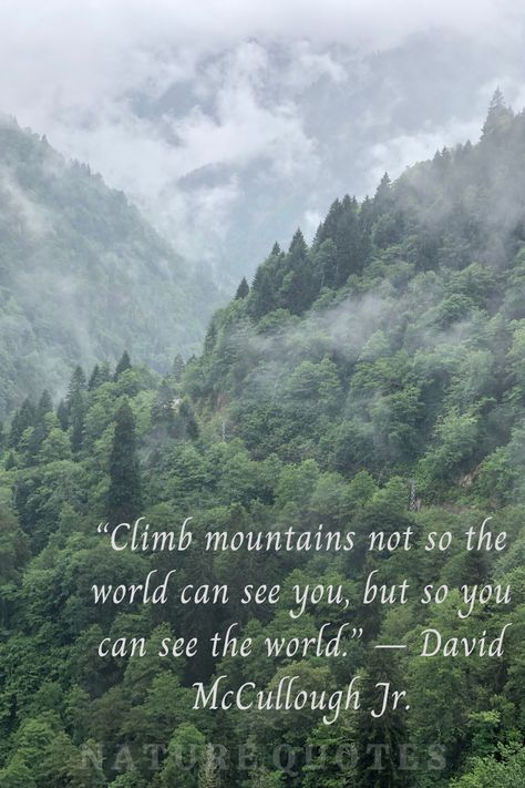 Climb The Mountain So You Can See, Climb Mountains Quote, Moving Mountains Quotes, Study Widget, Foggy Sky, 2024 Manifestations, Lake Quotes, Nature Quote, Mountain Quotes