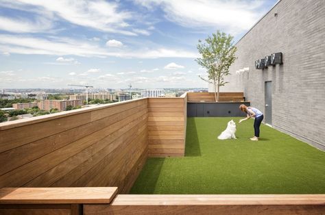 Apartment amenities just keep getting fancier. Gym Mirror Wall, Boho Bedroom Decor Hippie, Outdoor Dog Area, Equinox Gym, Apartment Gym, Gunite Swimming Pool, Dc Apartment, Gym Mirror, Gym Mirrors