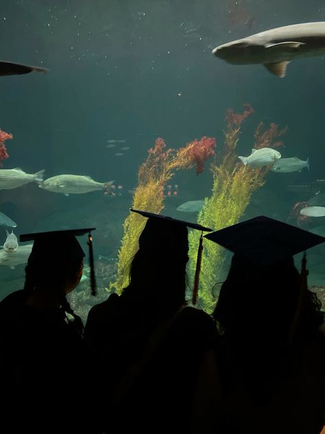 #aquarium #graduation #bestfriendsforever #photography #fish #monterey Marine Biology Graduation Pictures, Aquarium Photoshoot, Grad Pictures, College Graduation Pictures, Senior Stuff, Grad Photoshoot, Grad Ideas, Marine Biologist, Senior Photo Ideas