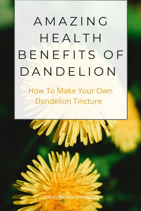 Benefits of Dandelion - Herbal Remedies Dandelion Tincture, Dandelion Uses, Dandelion Oil, Medicinal Wild Plants, Benefits Of Dandelion, Dandelion Benefits, Tinctures Recipes, Herbal Remedies Recipes, Dandelion Tea