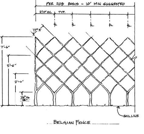 Belgian Fence Espalier, Espalier Fruit Trees Belgian Fence, Belgian Fence, Espalier Fruit Trees, Pruning Fruit Trees, Living Fence, Natural Pond, Cherry Trees, Garden Entrance