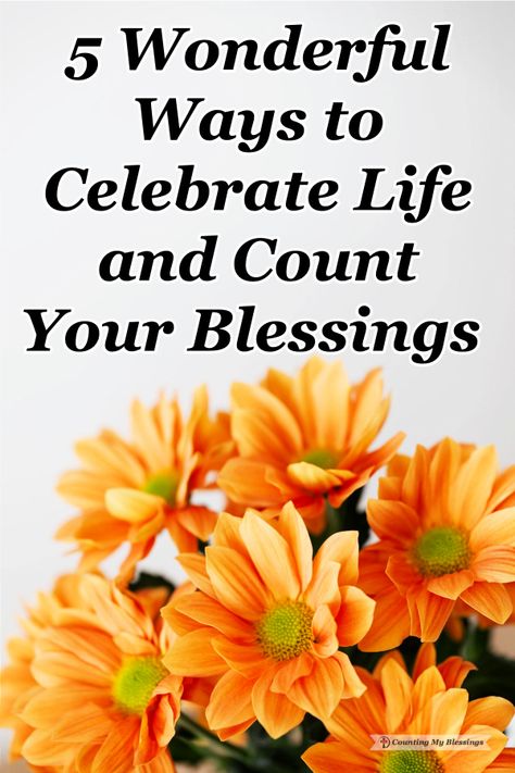 It's easy to get distracted by busyness and challenges but we will have more fun and enjoy more happiness when we count our blessings and celebrate life! #countyourblessings #celebratelife #worshipGod #Blessings Praying For Someone, Always Remember Me, Count Your Blessings, Rejoice And Be Glad, Womens Bible Study, Spiritual Experience, Celebrate Life, Christian Encouragement, God's Grace