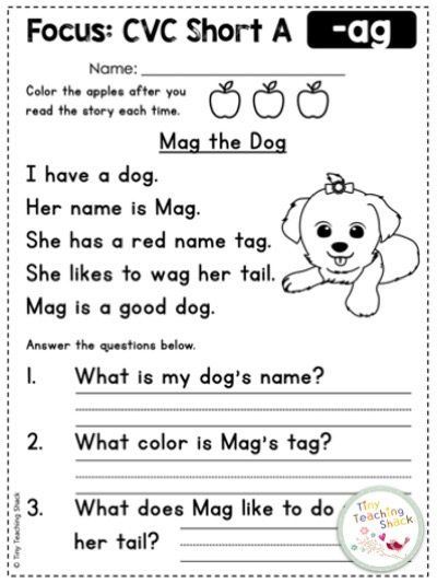 Cvc Short A, Cvc Phonics, Phonics Reading Passages, First Grade Reading Comprehension, Phonics Printables, Phonics Cvc, English Grammar For Kids, Reading Comprehension Kindergarten, Abc Phonics