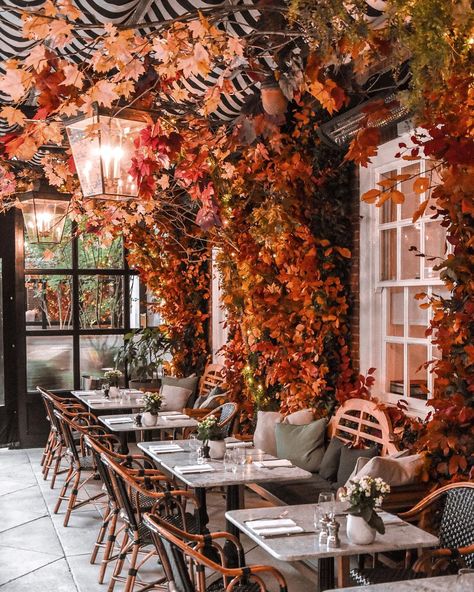 The perfect autumn setting 🍁🍂🦔 Doesn’t this place look just perfect for a cozy brunch? Picture by @santinisarah #dallowayterrace… Garden Design Ideas Inspiration, Cozy Brunch, Chaise Restaurant, Get Paid To Travel, Paid To Travel, Autumn Ideas, Autumn Lights, London Restaurants, Visit London