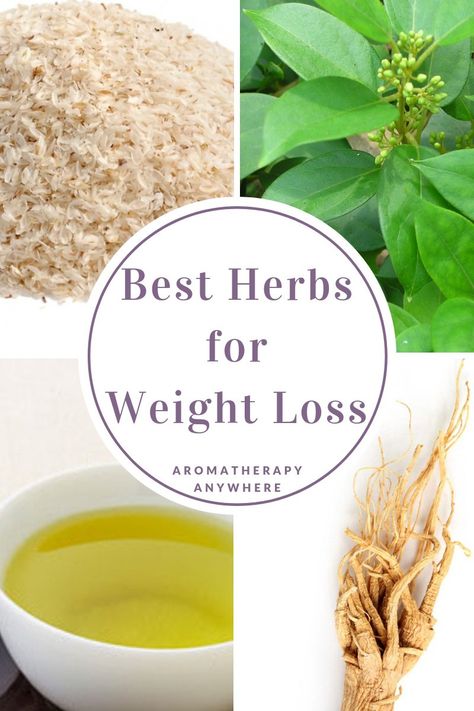 Best Herbs For Weight Loss Smoothies Vegan, Best Diet Foods, Breakfast Low Carb, Low Fat Diets, Healthy Diet Plans, Diet Keto, Lose 50 Pounds, Best Diets, Diet Tips