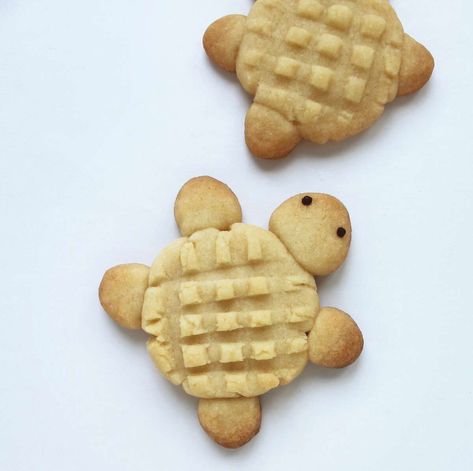 Turtle Shaped Cookies, Turtle Shaped Food, Turtle Cookies Decorated, Holiday Cookie Decorating, Holiday Cookies Decorated, White Food Coloring, Pie Designs, Cookie Glaze, Coconut Biscuits