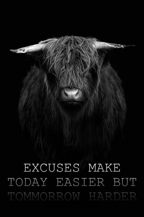 THIS IS A  MOTIVATIONAL QUOTE - "EXCUSES MAKE TODAY EASIER BUT TOMMORROW HARDER" No More Excuses Quotes, No Excuses Wallpaper, No Excuses Quotes, Excuses Quotes, Reason Quotes, No More Excuses, Hard Quotes, Cellphone Wallpaper Backgrounds, Feel Good Quotes