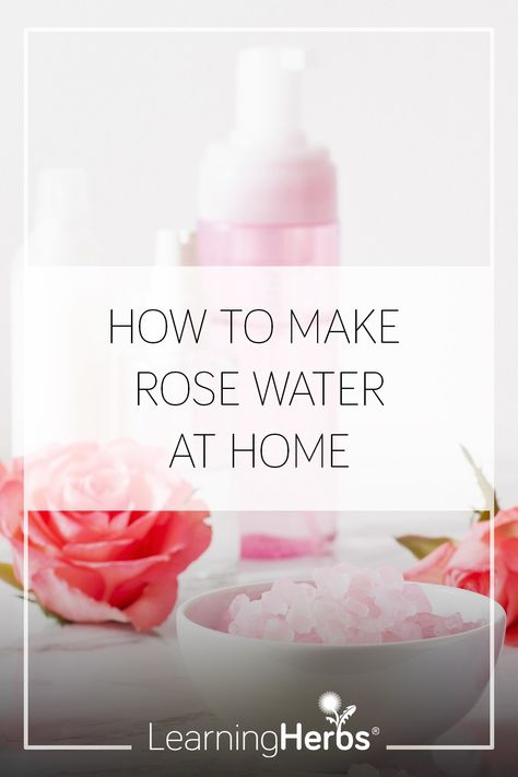 How to Make Rose Water How To Make Rose Water For Face, How To Make Rose Water Diy, How To Make Rose Water, Herbalism Apothecary, Make Rose Water, Making Rose Water, Homemade Rose Water, Rose Water Diy, Fresh Rose Petals