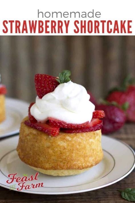 Strawberry Shortcake Mini, Homemade Strawberry Shortcake, Shortcake Cake, Strawberry Shortcakes, Cake Mini, Strawberry Shortcake Recipes, Croquembouche, Shortcake Recipe, Savory Cakes